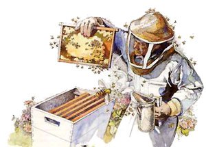 Apicoltore a lavoro