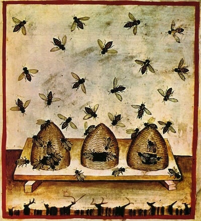 Antica rappresentazione di apicoltura