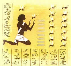 l'Apicoltura nell'antico Egitto